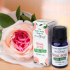 Olejek Zapachowy Królewska Róża - Na Bazie Roślin - Naturalny Aromat 10ml