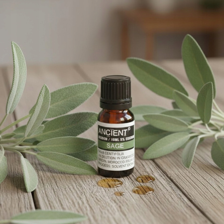 Olejek Eteryczny Szałwia Lekarska - 10ml - Naturalny - Na Infekcje - Oczyszczanie
