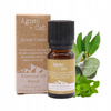 Mieszanka Olejków Eterycznych Great Gable - Naturalna - Rześkość i Skupienie - 10 ml