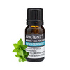 Olejek Eteryczny Mięta Pieprzowa - Naturalny - Koncentracja i Odświeżenie - 10 ml