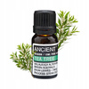 Olejek Eteryczny Drzewo Herbaciane - Tea Tree - 10ml - Antyseptyczny - Na Trądzik