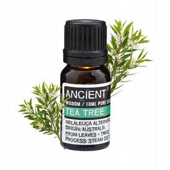 Olejek Eteryczny Drzewo Herbaciane - Tea Tree - 10ml - Antyseptyczny - Na Trądzik